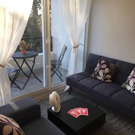 Condominio Robles Camino Al Volcan Pucón Екстериор снимка