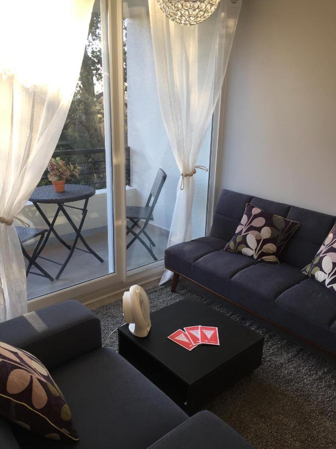Condominio Robles Camino Al Volcan Pucón Екстериор снимка