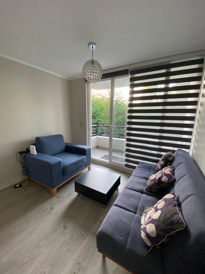 Condominio Robles Camino Al Volcan Pucón Екстериор снимка