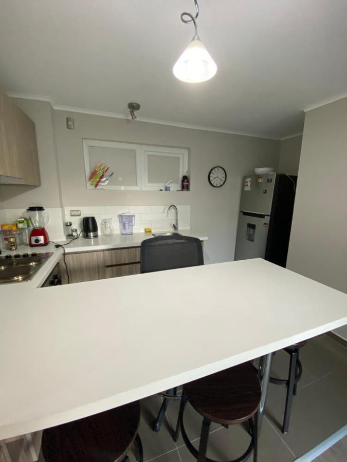 Condominio Robles Camino Al Volcan Pucón Екстериор снимка