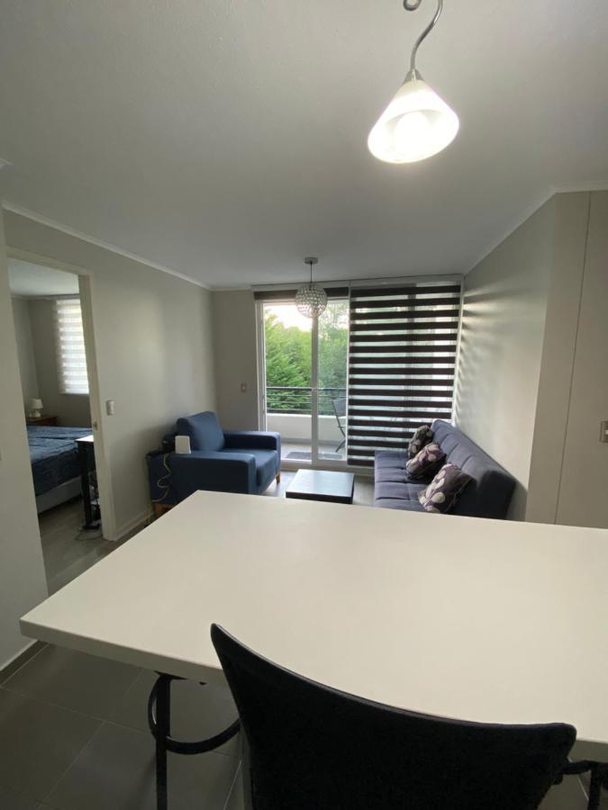 Condominio Robles Camino Al Volcan Pucón Екстериор снимка