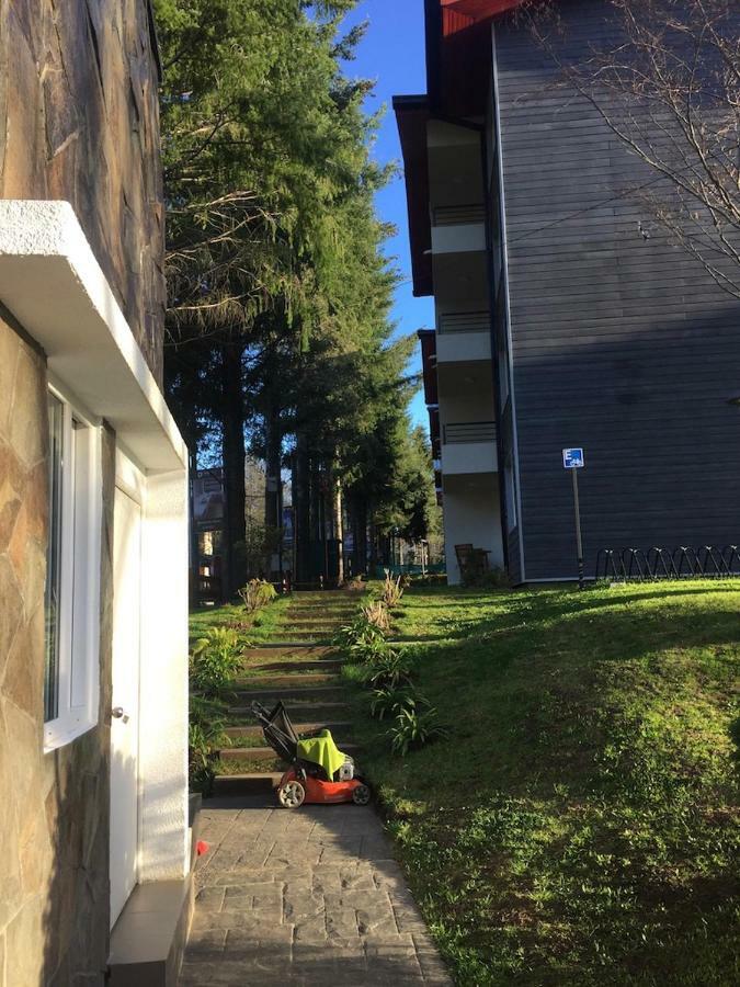 Condominio Robles Camino Al Volcan Pucón Екстериор снимка