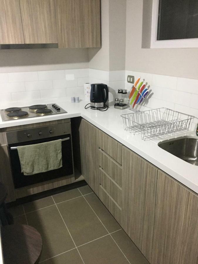 Condominio Robles Camino Al Volcan Pucón Екстериор снимка